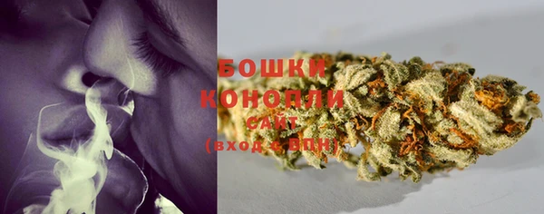 мет Нягань