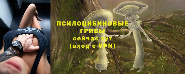 MDMA Premium VHQ Няндома