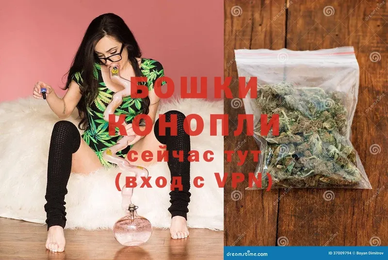 Бошки Шишки OG Kush  купить   Ковдор 